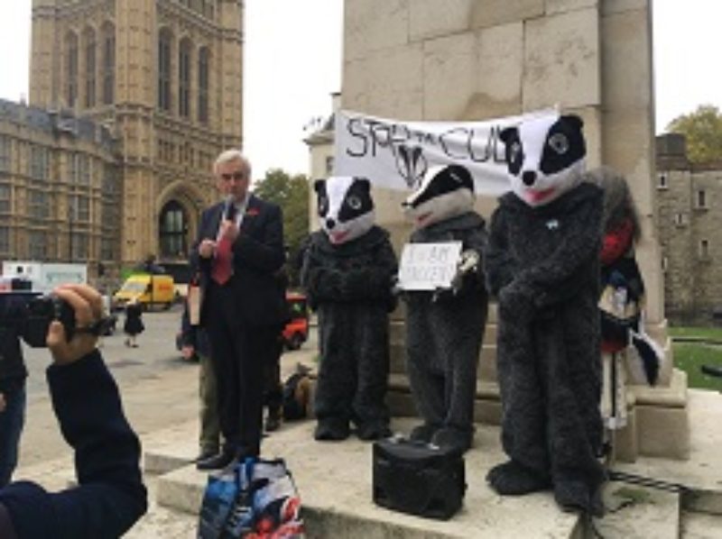 Anti-badger cull protest